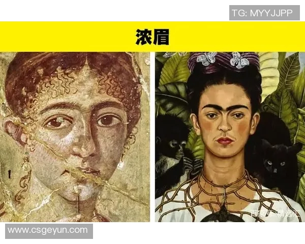 你不知道的浓眉：十大冷知识大揭秘